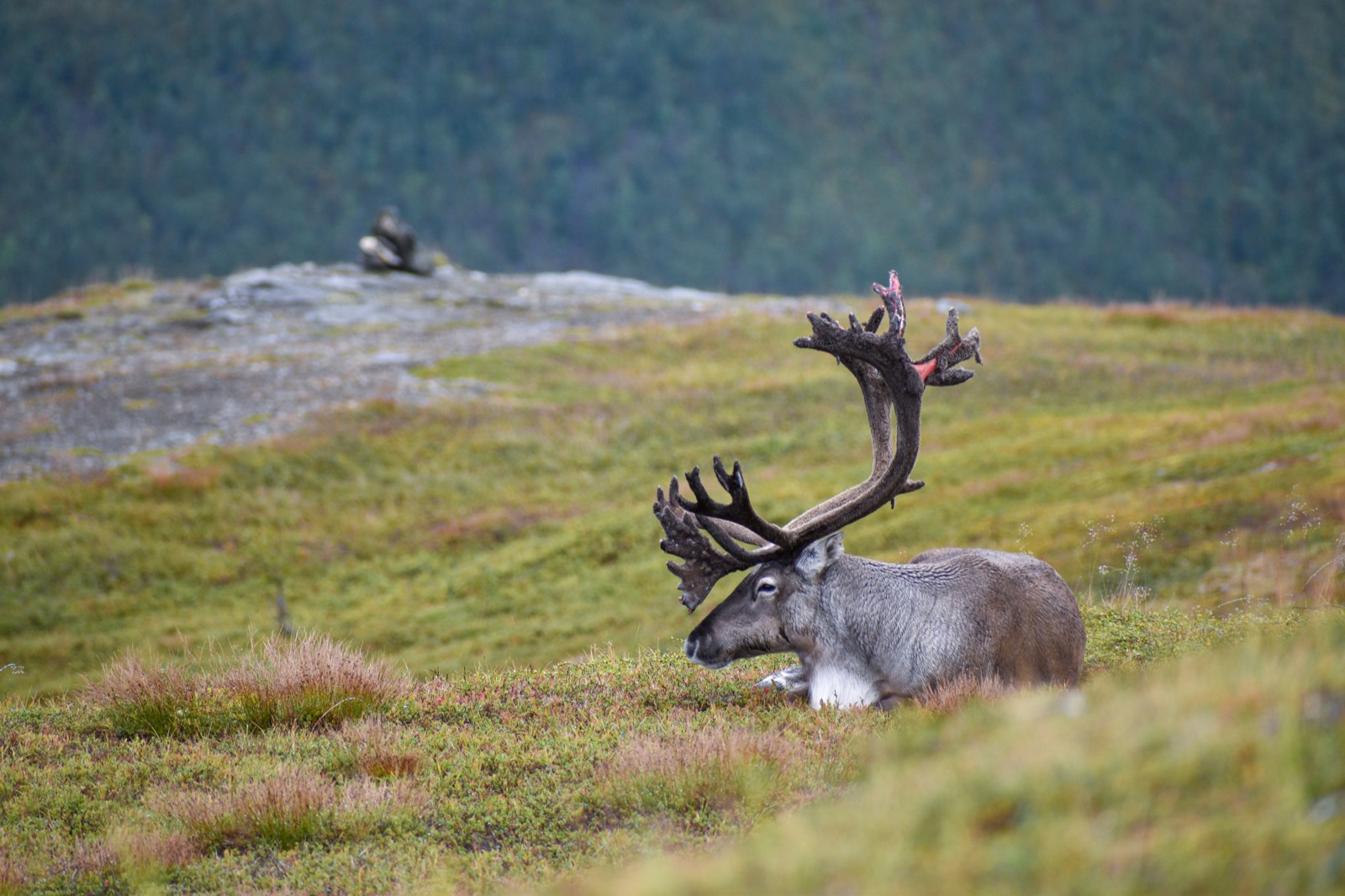 ELDRMANNR, Berge in Norwegen