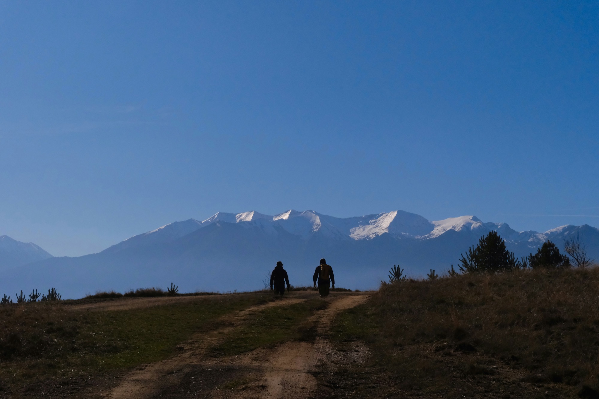 Zwei Menschen gehen gemeinsam einen Weg auf Berge zu