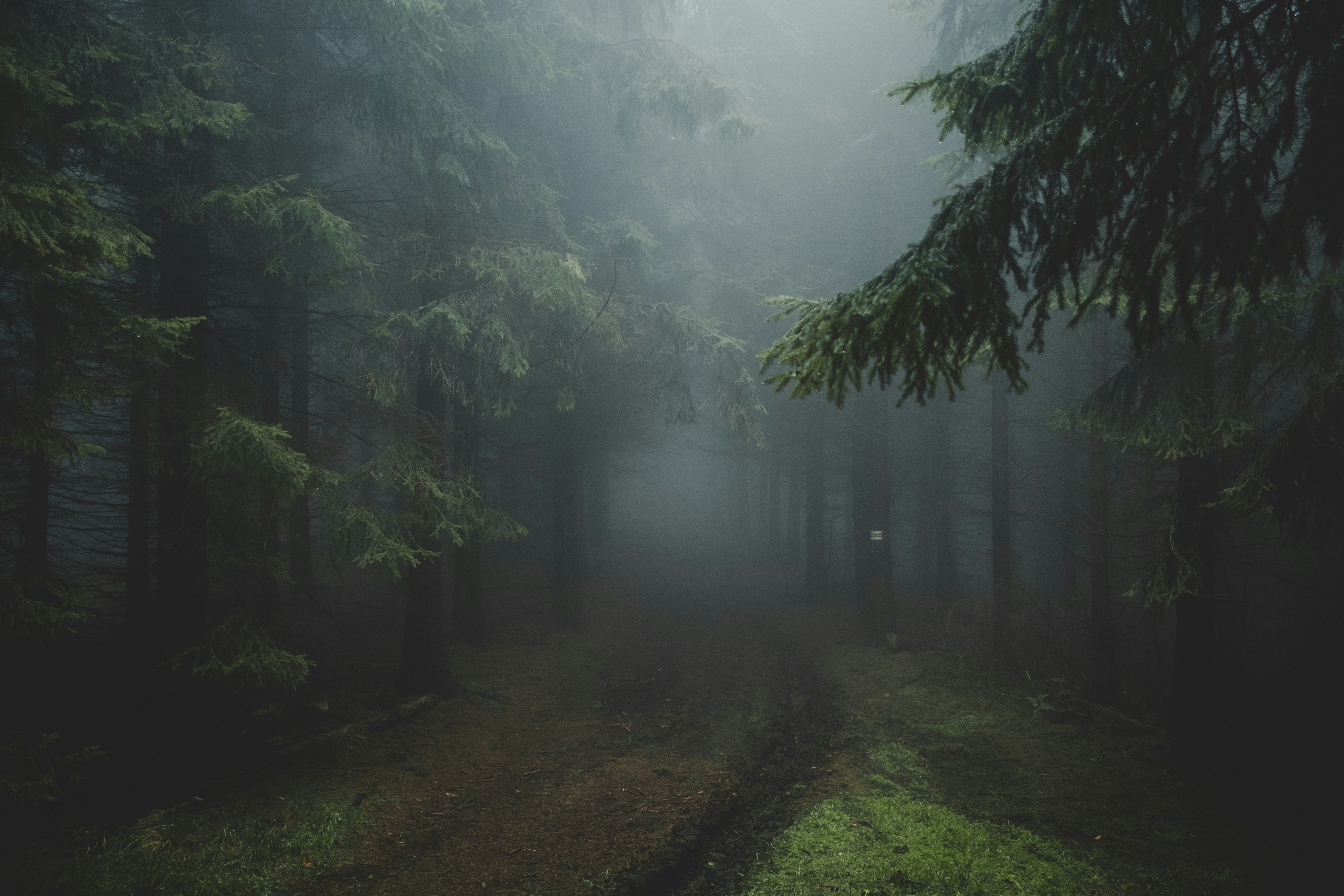 Mann in nordischer Landschaft