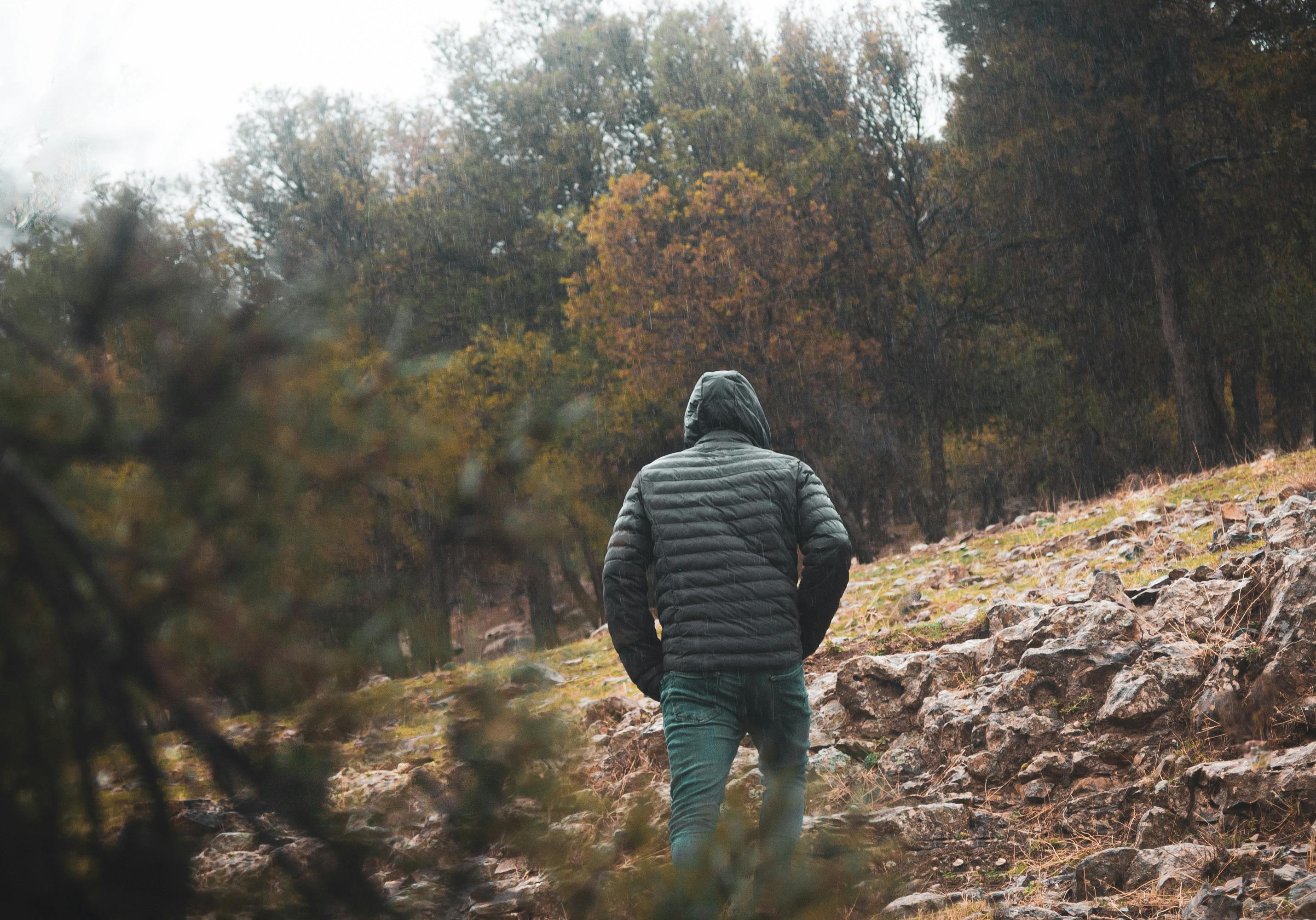 Forest path in light – returning to your direction