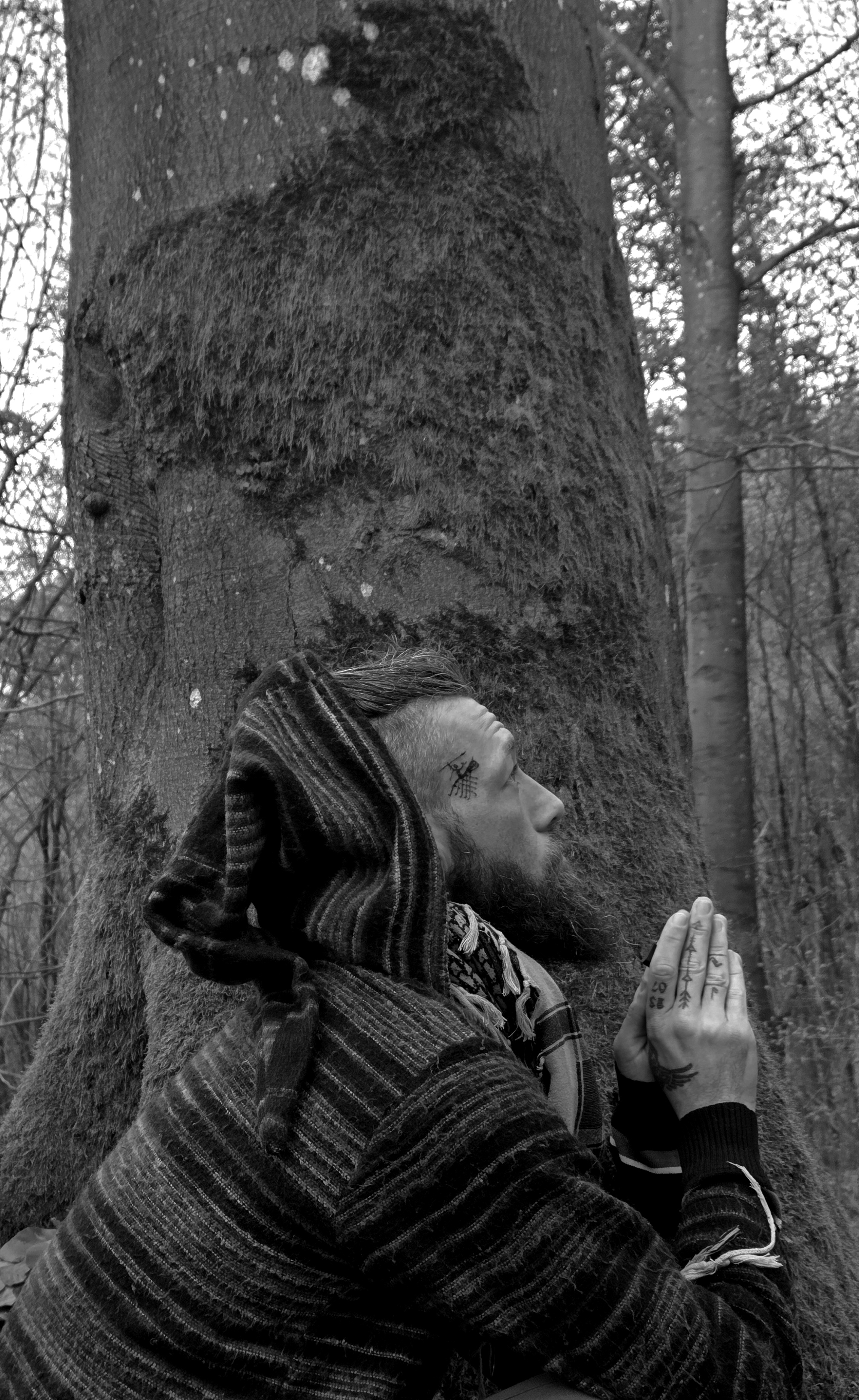 Tree and roots – grounding men’s work
