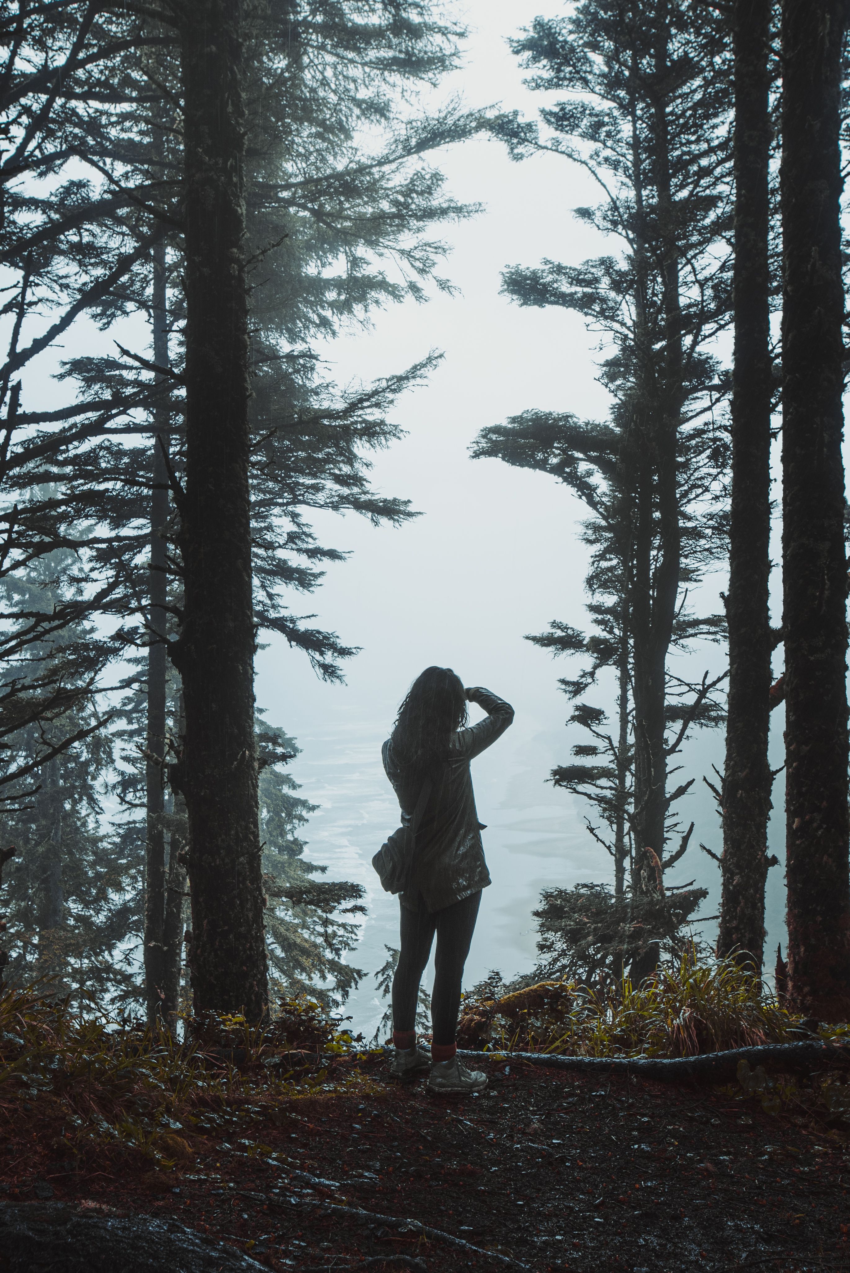 Nordic landscape – forest and water in morning mist